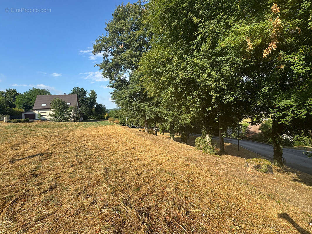 Terrain constructible Rochefort-sur-Nenon - photo 2