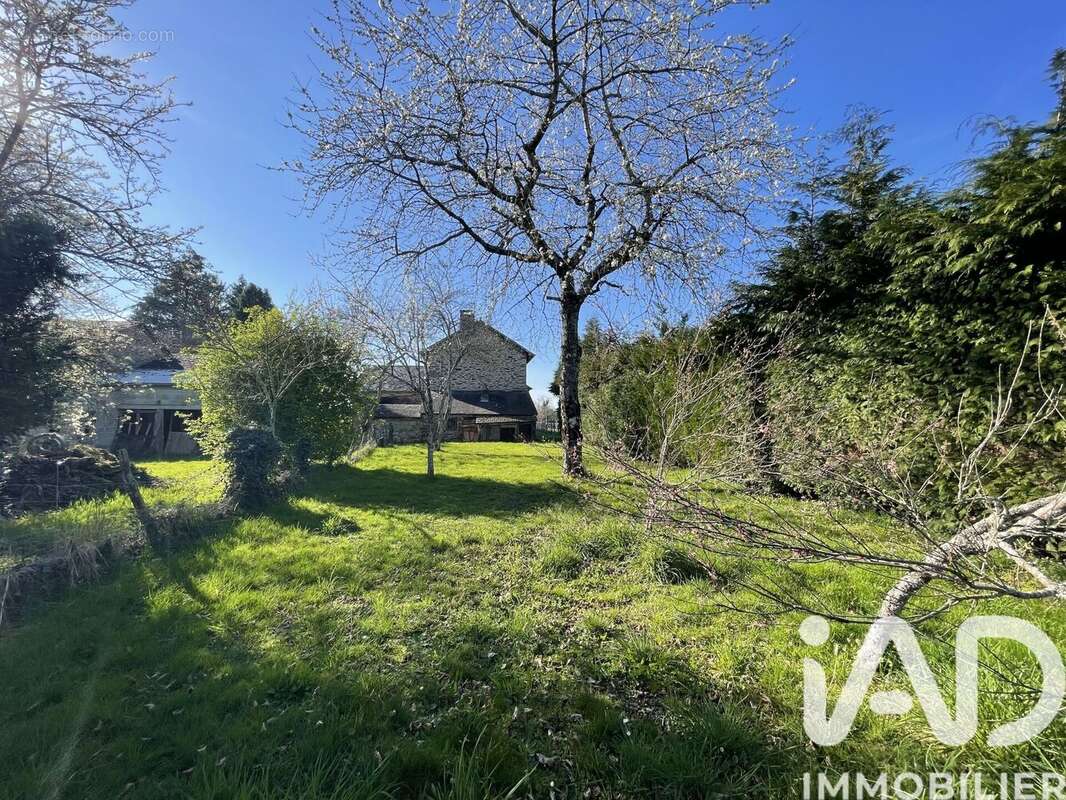 Photo 6 - Maison à NEUVIC-ENTIER