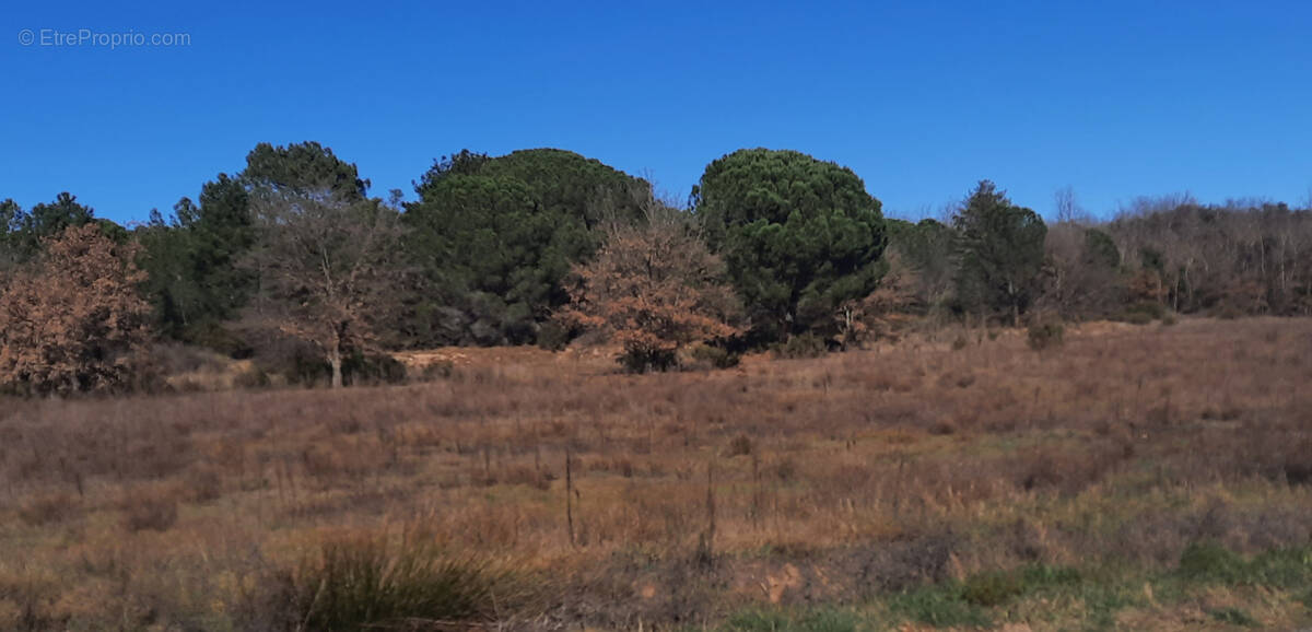 Terrain à SAINT-JEAN-PLA-DE-CORTS