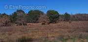 Terrain à SAINT-JEAN-PLA-DE-CORTS