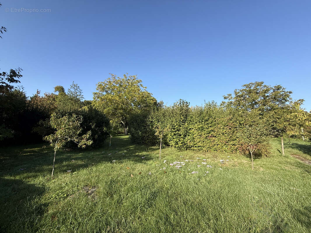 Terrain à AZAY-SUR-CHER