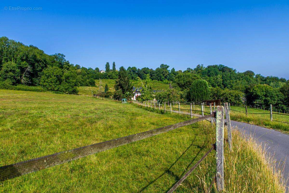 Superbe propriété équestre sur les coteaux de Jurançon – - photo 27