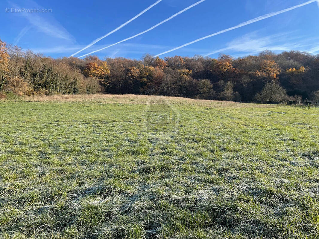 Terrain à CUISE-LA-MOTTE
