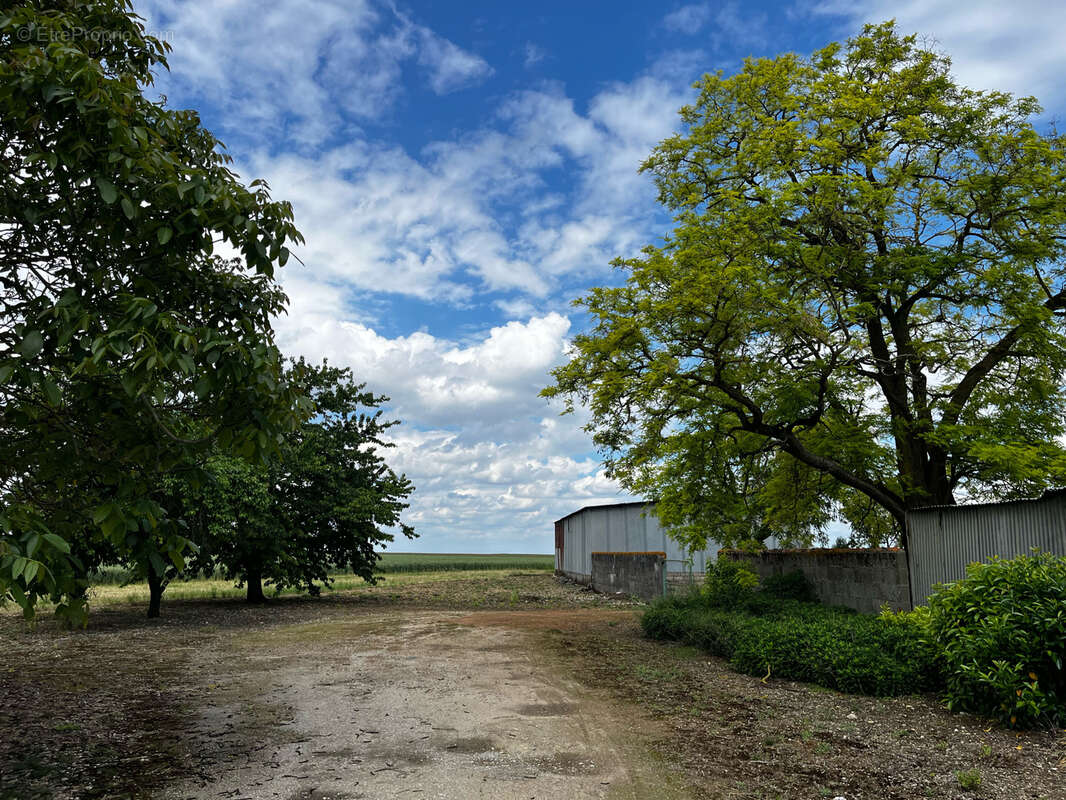 Corps de ferme rénové avec nombreuses dépendances, possibilité de 5 hectares - photo 15