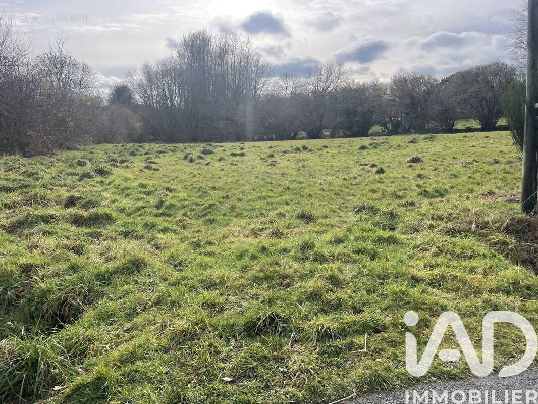 Photo 1 - Terrain à LE VIEUX-MARCHE