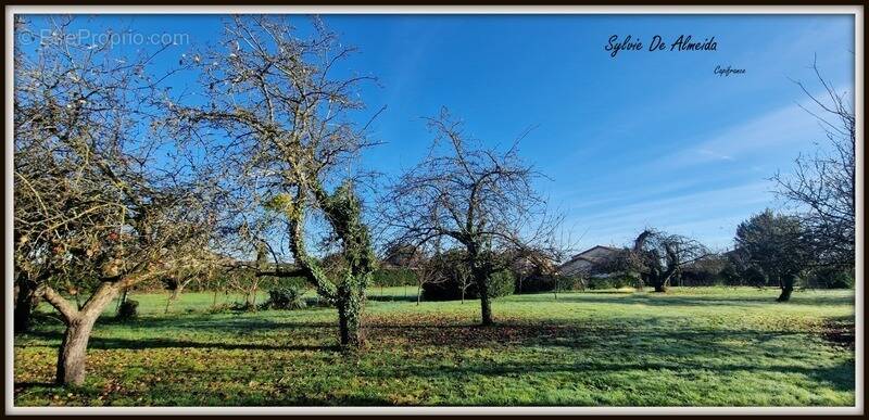 Terrain à FEILLENS