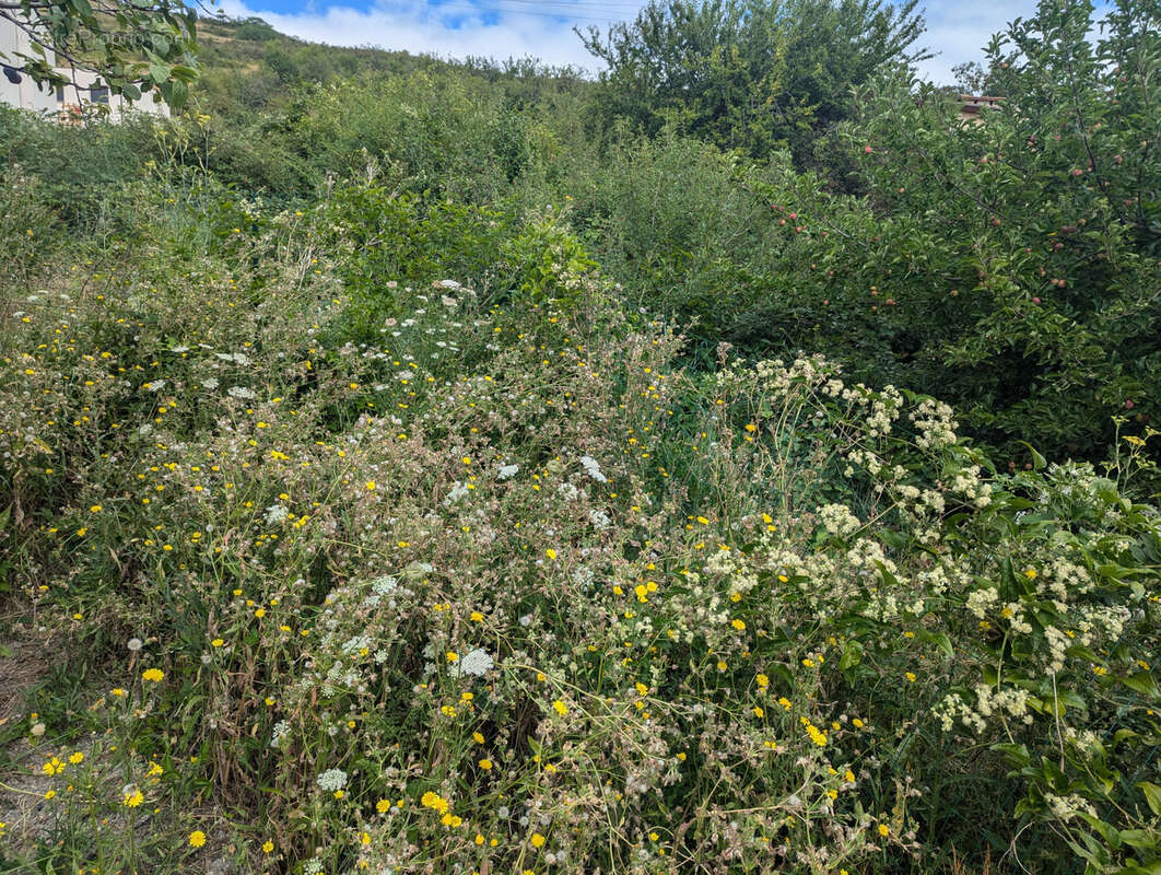 Terrain à CLERMONT-FERRAND