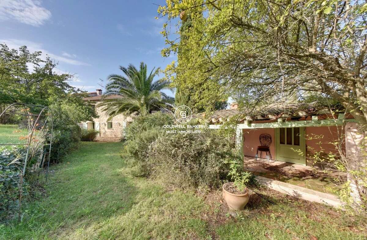 MAS de 295m2 Céret  vue Canigou sur près de 4 Ha - photo 13