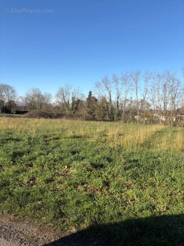 Terrain à BRANNE