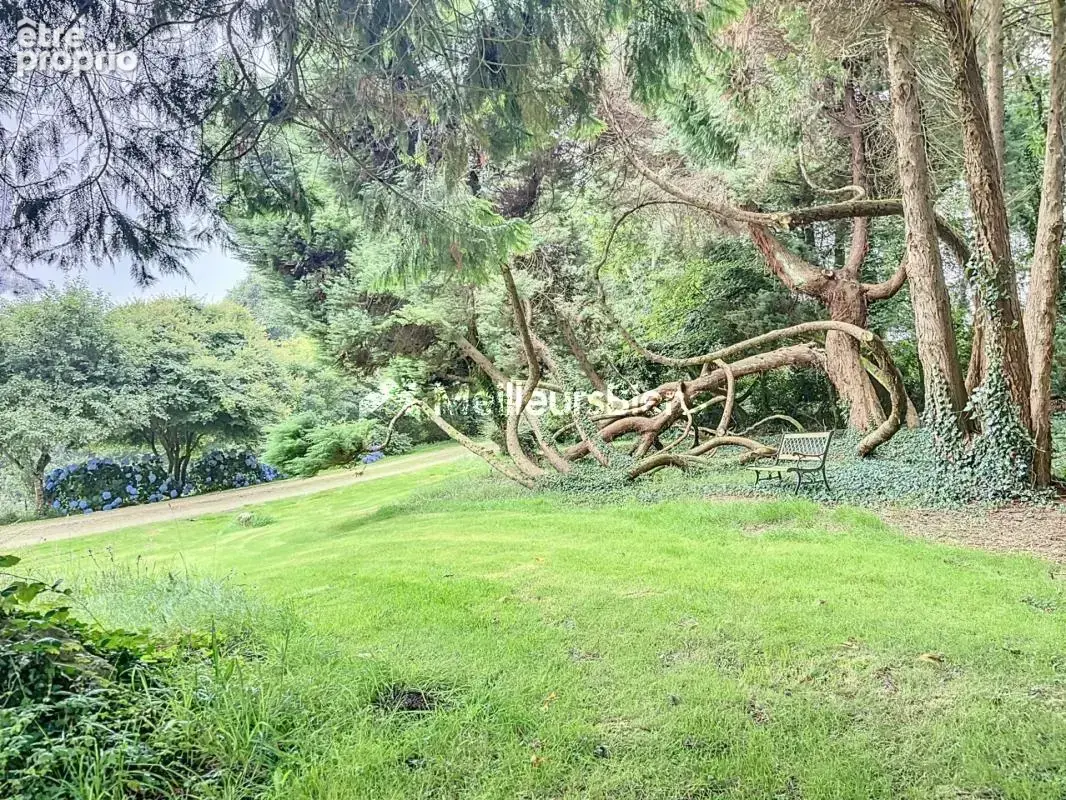 Maison 11 pièces à Plogastel-Saint-Germain, 605 m², terrain de 29 557 m² - photo 18