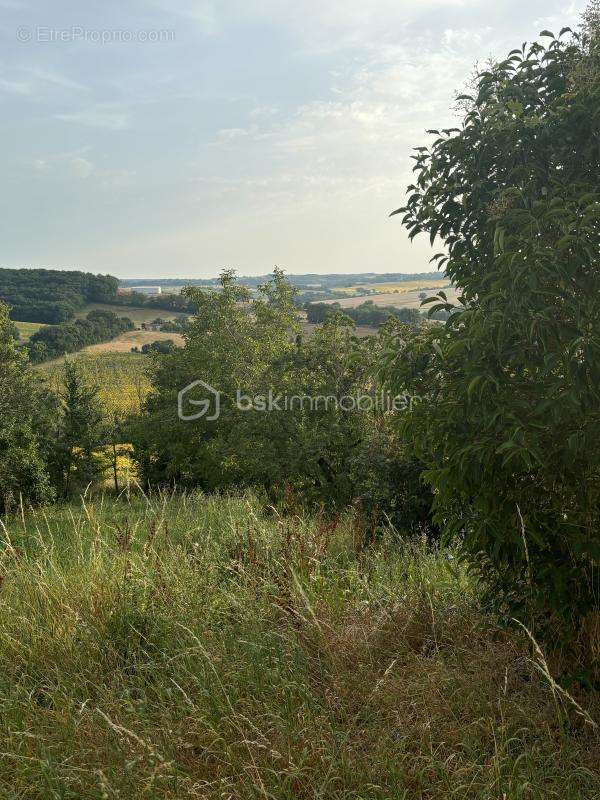 Terrain à AUCH