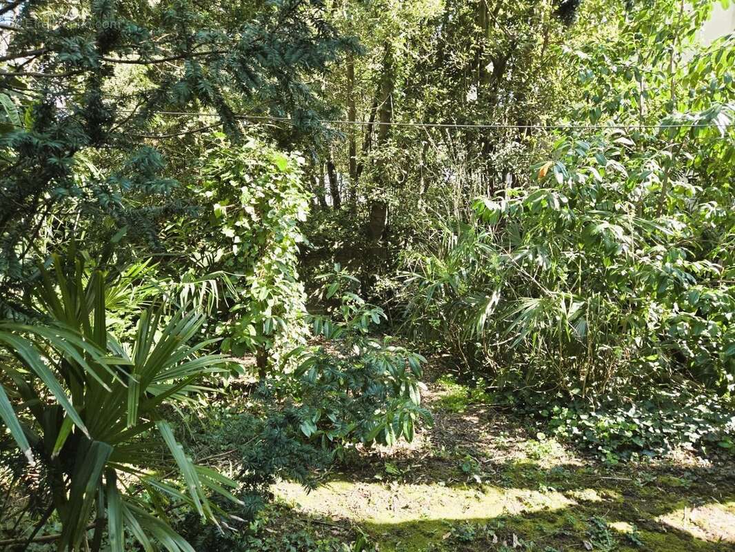 Photo 6 - Appartement à NANTES