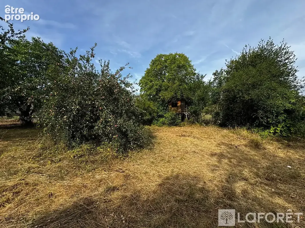Terrain Zillisheim 1172 m2 - photo 4