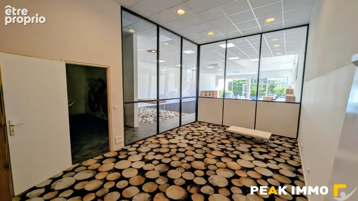 Commerce 278 m² à vendre à Quintal (74600) - photo 3