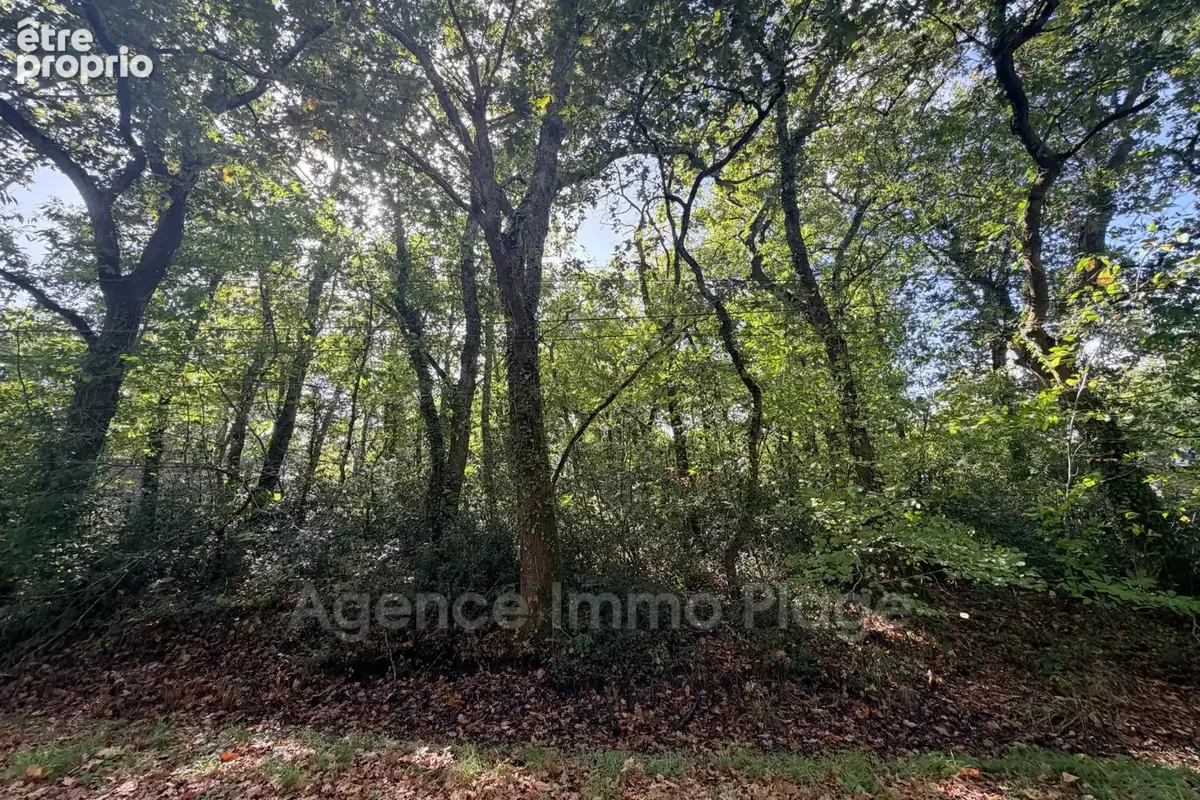 Terrain 2 269 m² à vendre à Grayan-Et-L'hopital (33590) - photo 5