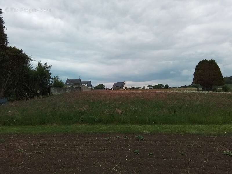 Maison à LANGONNET