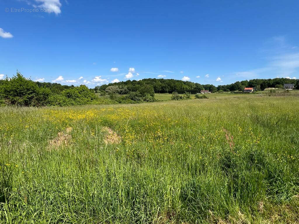 Terrain à SAINT-GERMAIN-DES-PRES