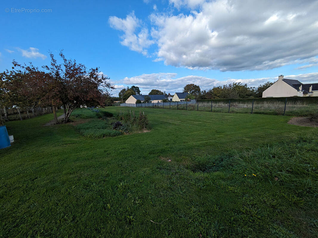 Terrain à SAINT-DOLAY