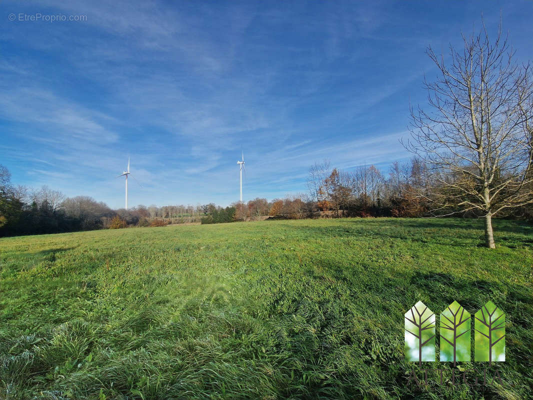 Maison à BUSSIERE-SAINT-GEORGES
