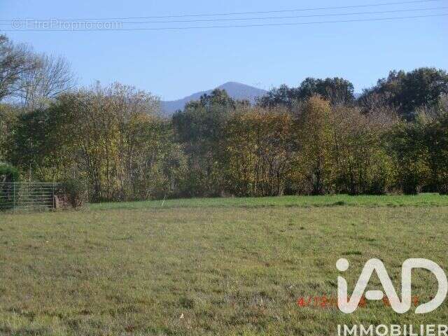 Photo 2 - Terrain à LANNEMEZAN