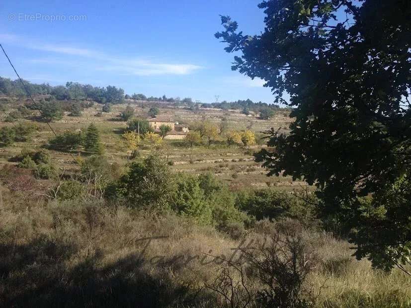 FERME - 10875 - photo 15