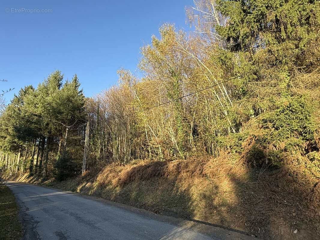 Terrain à SAINT-SORNIN-LAVOLPS