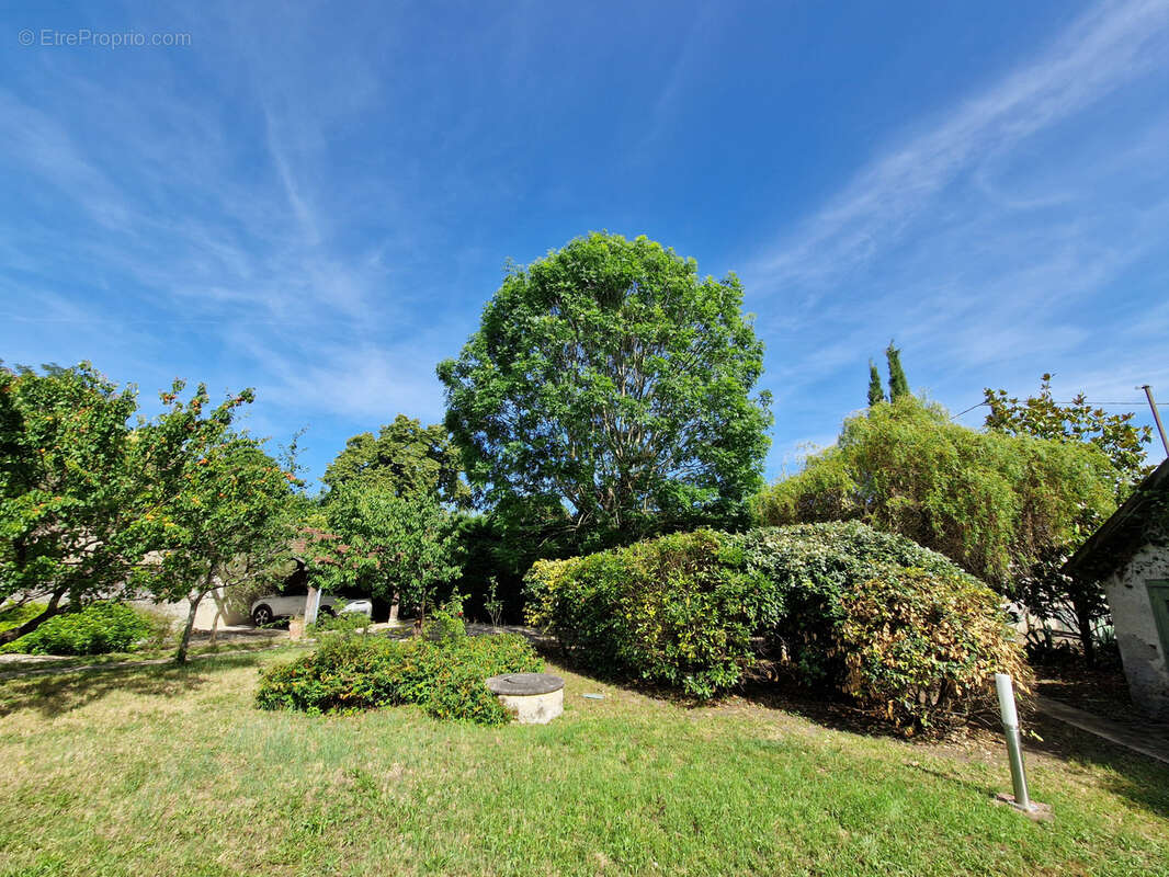 Maison bourgeoise 214 m2 en cœur de ville, avec piscine et jardin magnifique de 1300 m2. Garage, cave - photo 26