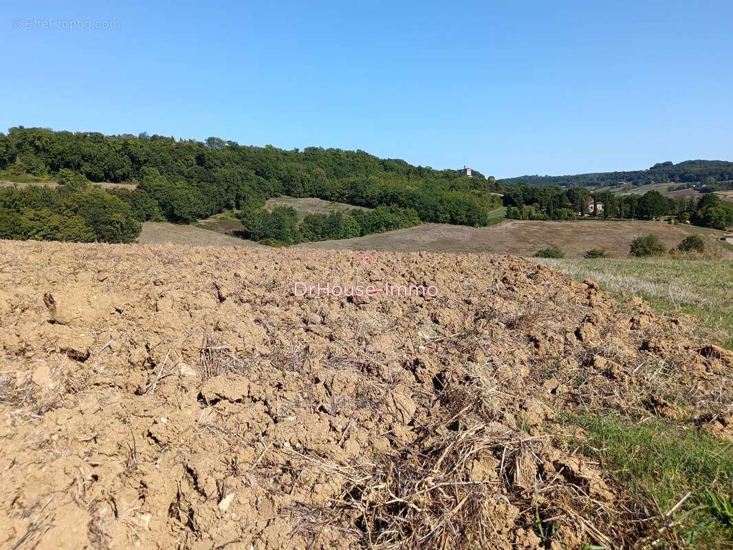 Terrain à SAINT-HILAIRE-DE-LUSIGNAN