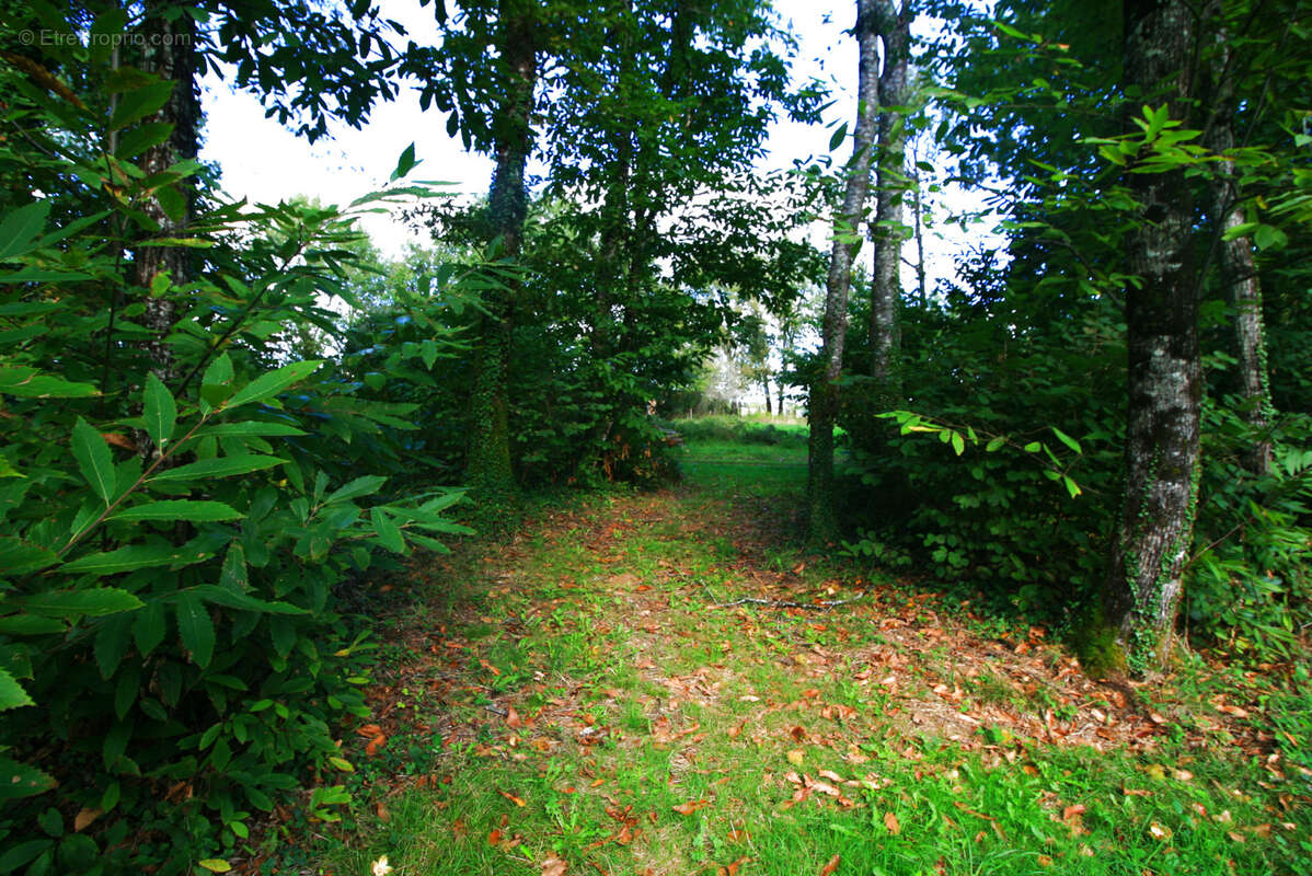 Superbe terrain constructible - photo 4