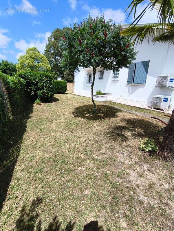 Maison à BELIN-BELIET