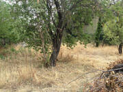 Terrain à SAINT-SATURNIN-LES-AVIGNON