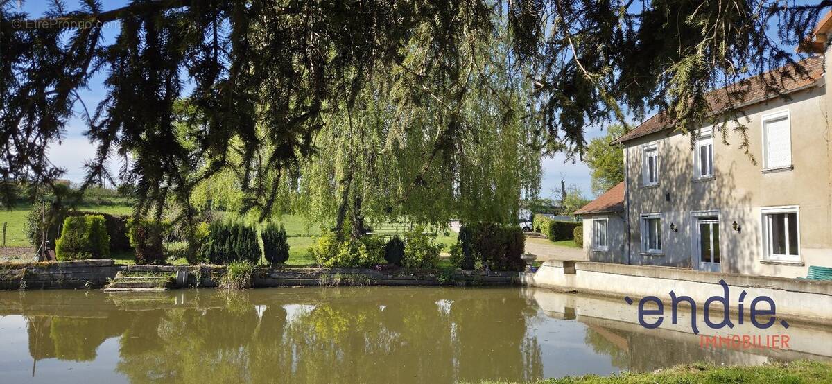 Maison à TOULON-SUR-ALLIER