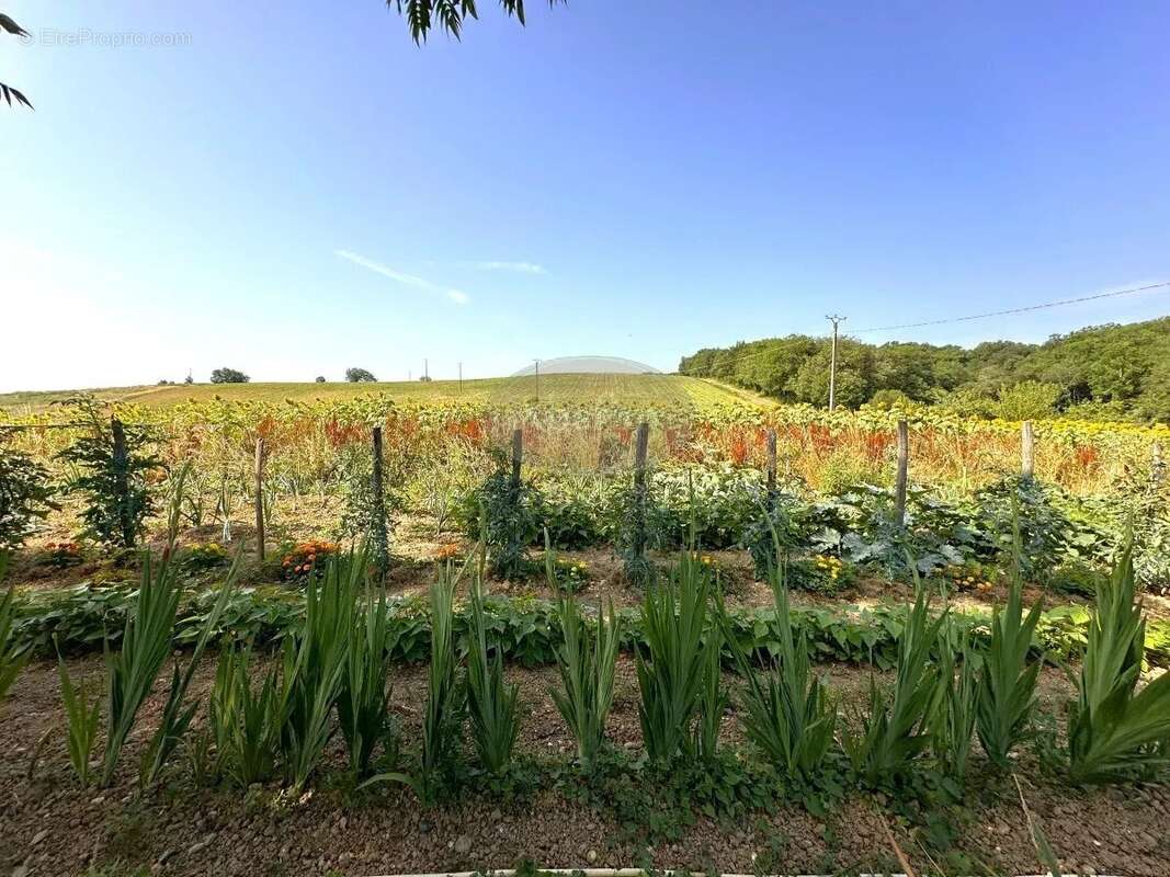 Maison à SAINTE-DODE