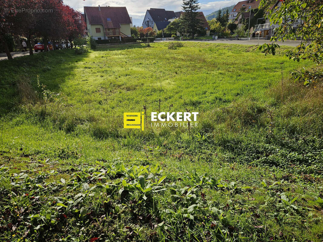 Terrain à MOLSHEIM
