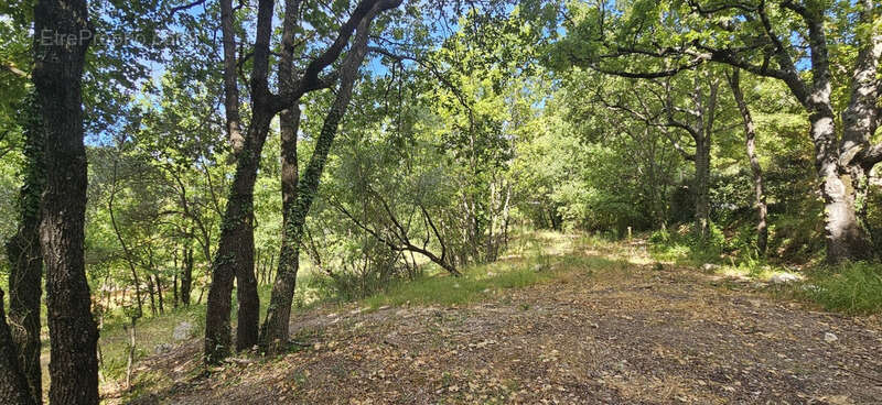 Terrain à construire de 2 800 m² – Vue dégagée, calme, plein sud - photo 3