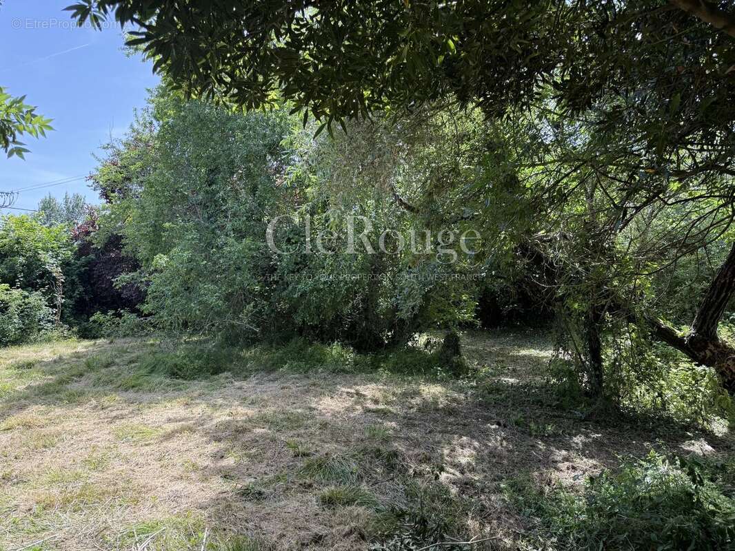 Monségur - Maison familiale de 5 chambres à rénover - photo 17