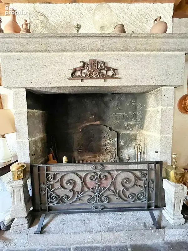 CANTAL, Château des Sources à vendre - photo 23