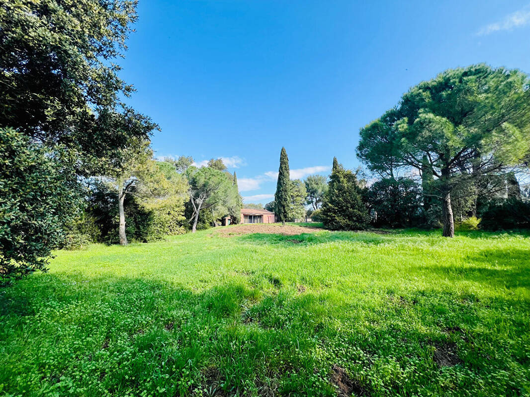 Maison à MONTPELLIER