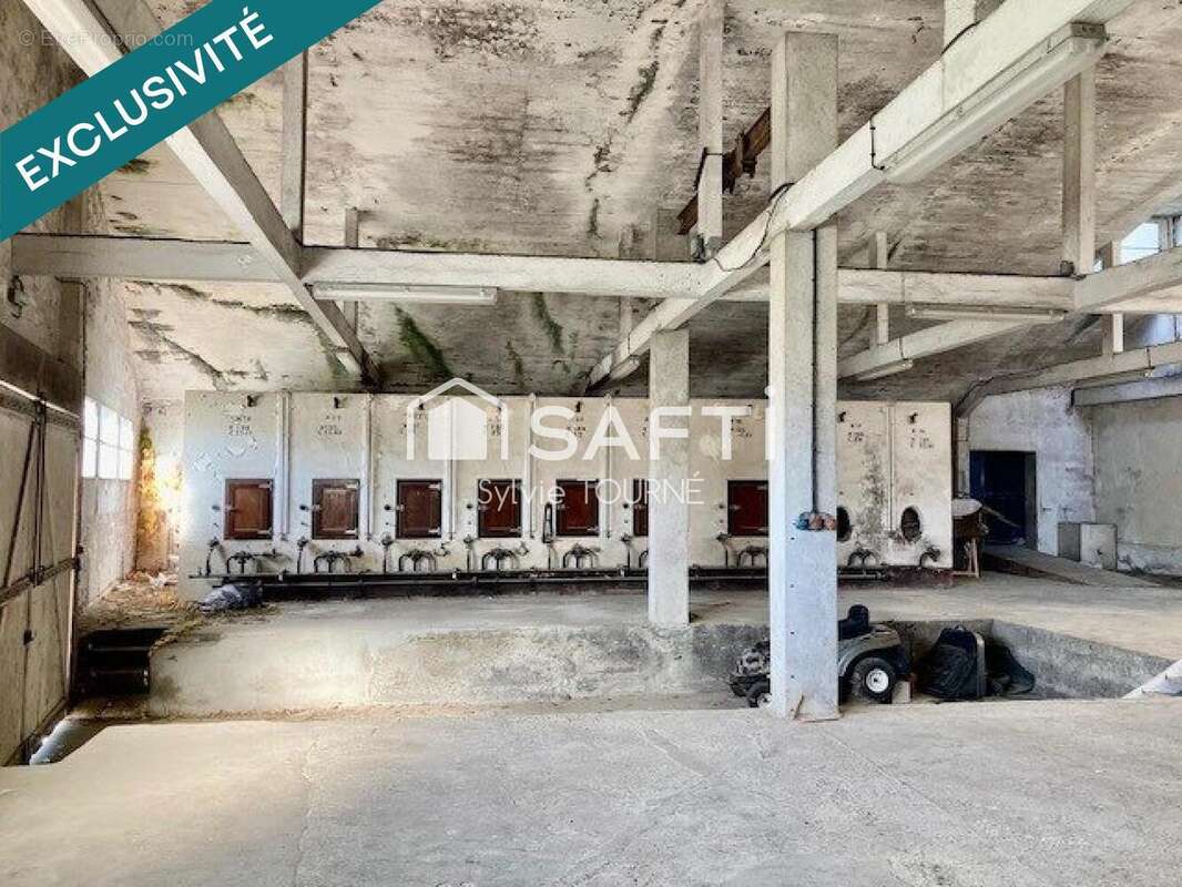 Maison 280 m² à Castelnau-D'auzan  - photo 2