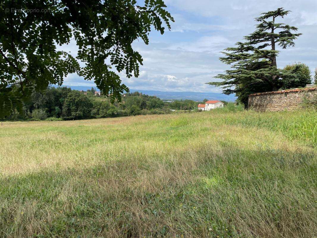 Terrain à SAINT-JUST-SAINT-RAMBERT