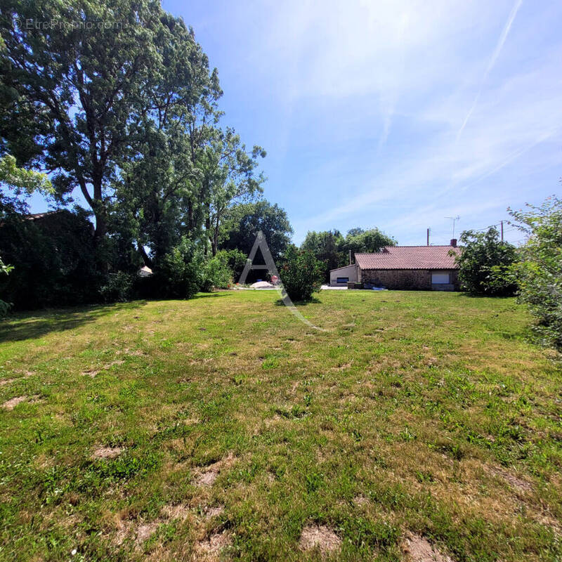 Terrain à LE CHAMP-SAINT-PERE