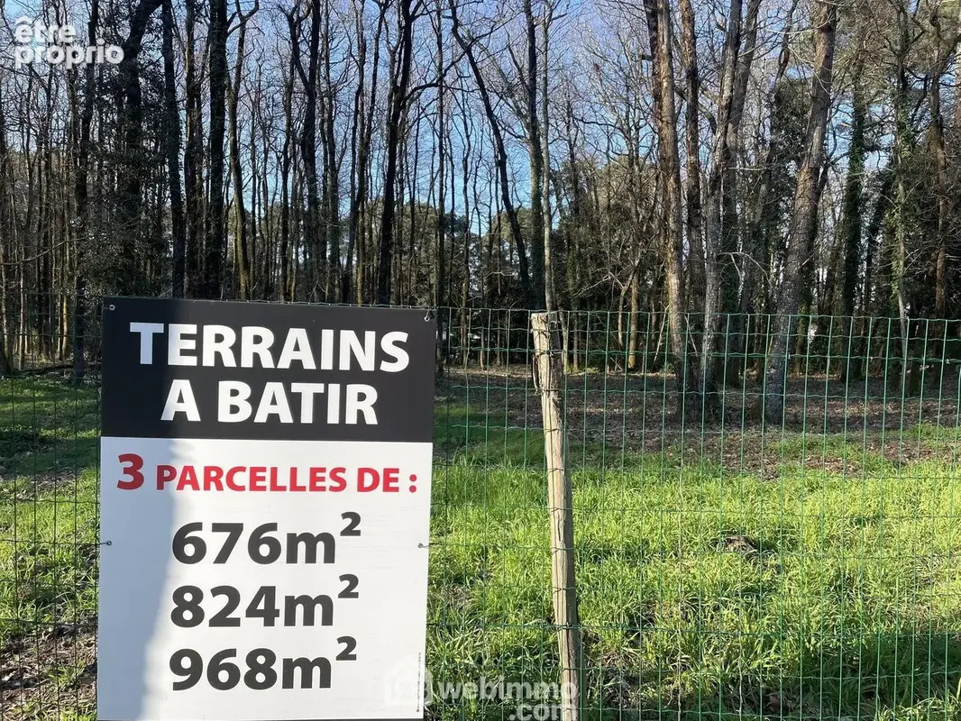 Beau terrain forestier au calme des pins.