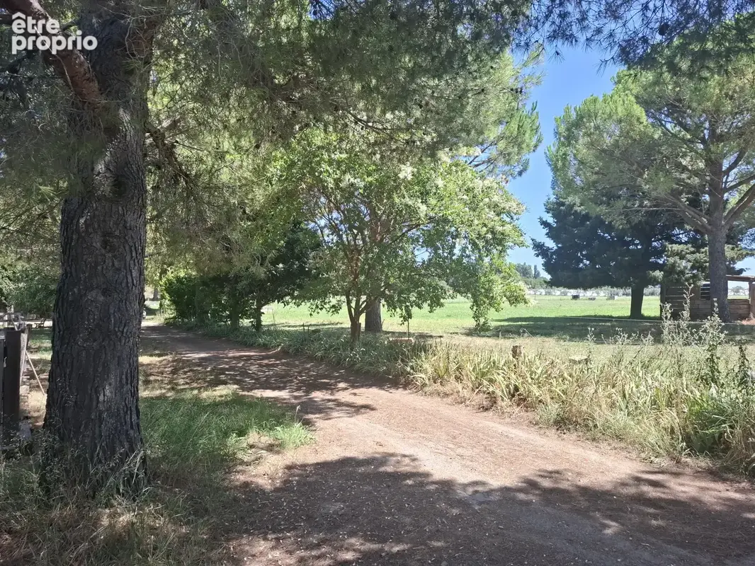 Domaine entre Alpilles et Arles - photo 10