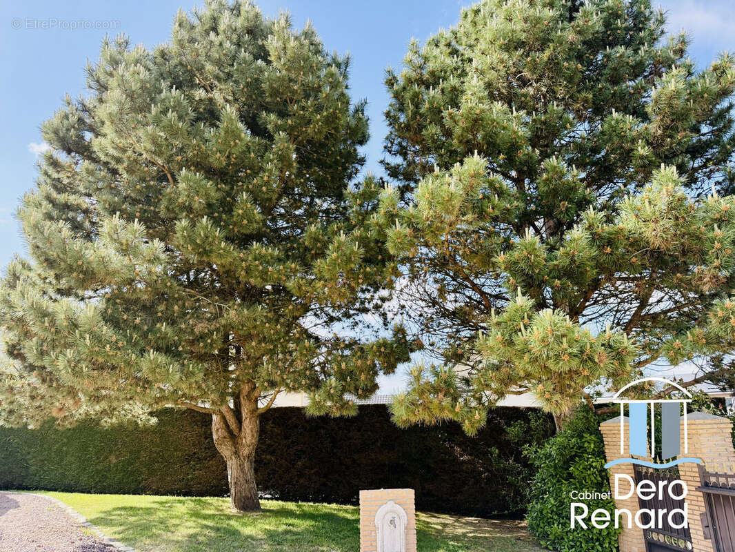 Maison à OCTEVILLE-SUR-MER