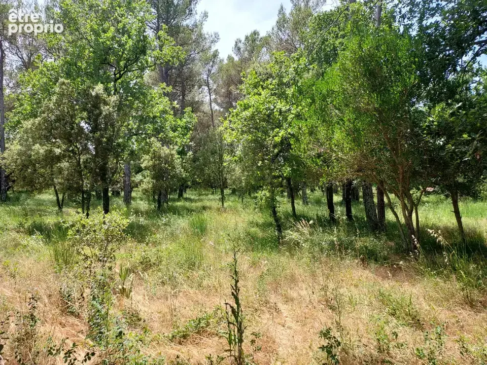 Terrain 847 m² à vendre à Gareoult (83136) - photo 3