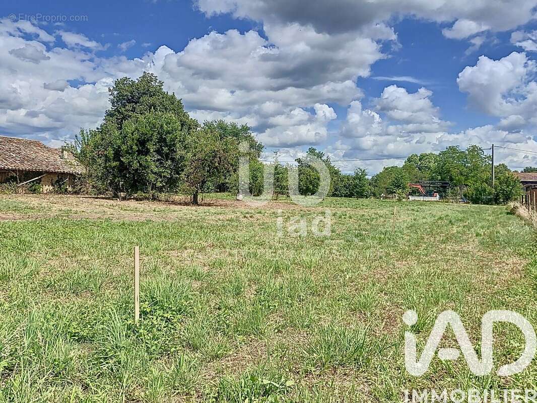 Photo 2 - Terrain à NEGREPELISSE