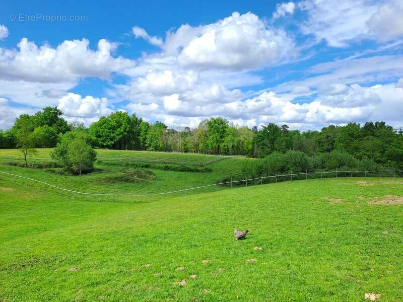 Maison à SAINT-ANDRE-DE-CUBZAC