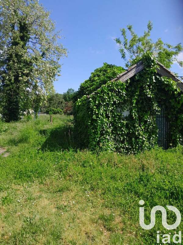 Photo 4 - Appartement à LAMOTHE-MONTRAVEL