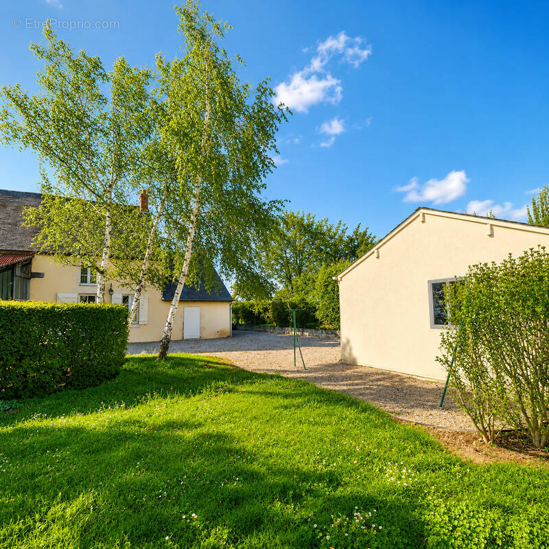 Maison à SAINTE-SEVERE-SUR-INDRE