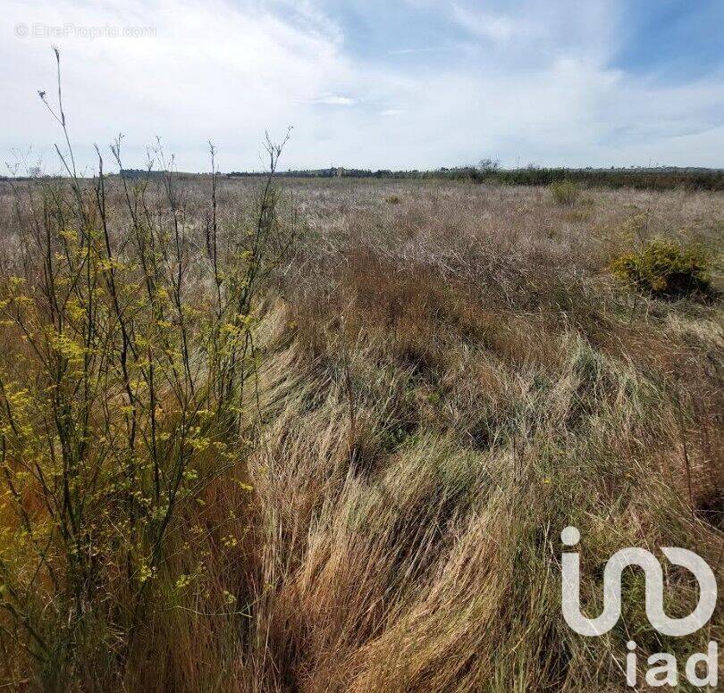 Photo 1 - Terrain à GENERAC